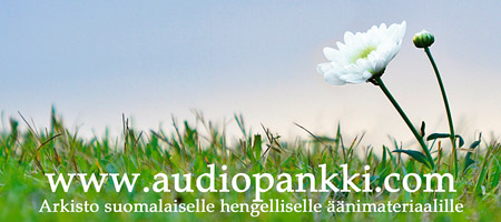 Audiopankin mainoskortti